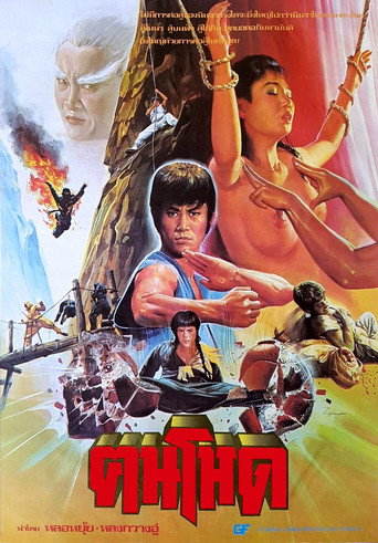 Póster de 忍者大决斗