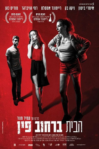 Póster de הבית ברחוב פין