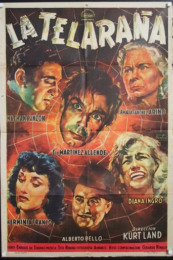 Póster de La telaraña
