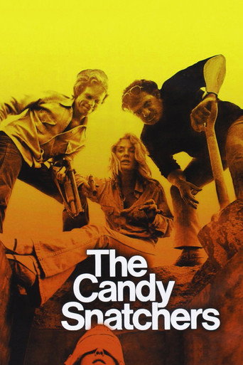 Póster de The Candy Snatchers