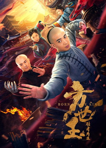 Póster de 方世玉之胜者为王