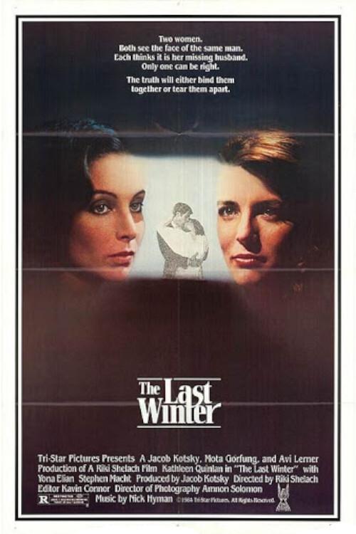 Póster de The Last Winter