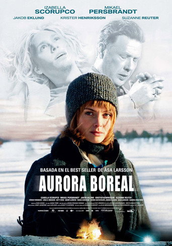 Póster de Solstorm