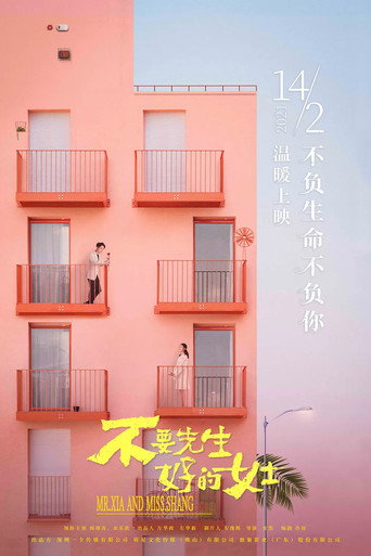 Póster de 不要先生与好的女士
