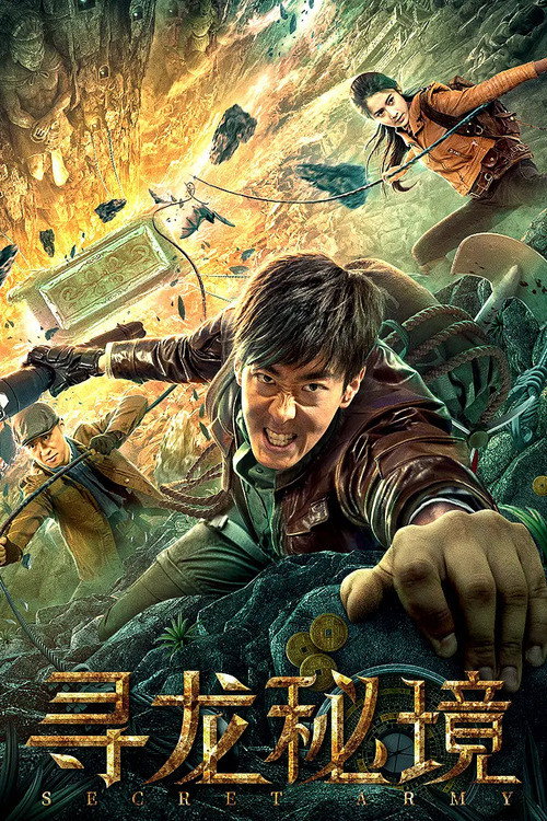 Póster de 寻龙秘境