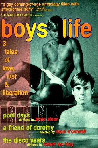 Póster de Boys Life