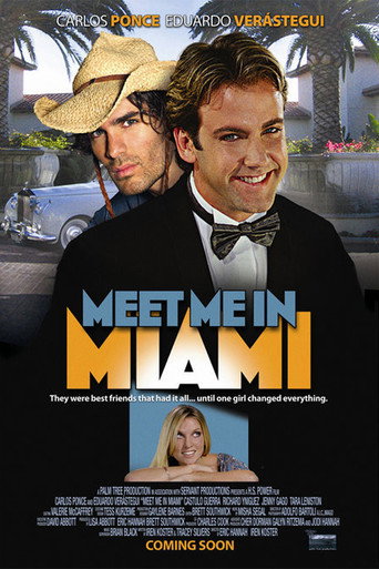 Póster de Meet Me in Miami