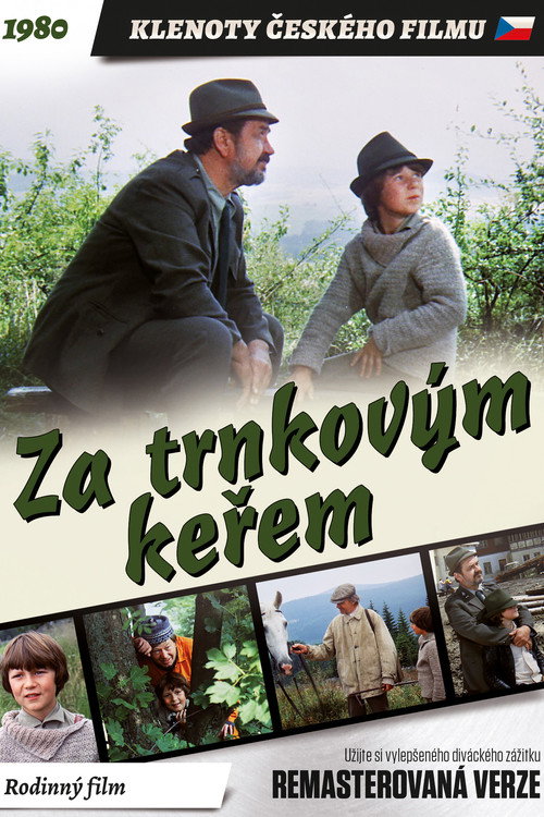 Póster de Za trnkovým keřem