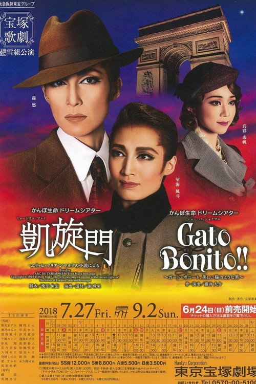 Póster de 凱旋門 －エリッヒ・マリア・レマルクの小説による－