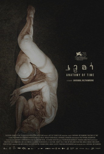 Póster de Anatomy of Time