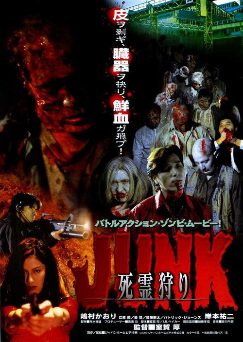 Póster de JUNK