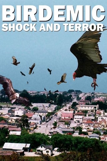 Póster de Birdemic: Conmoción y terror
