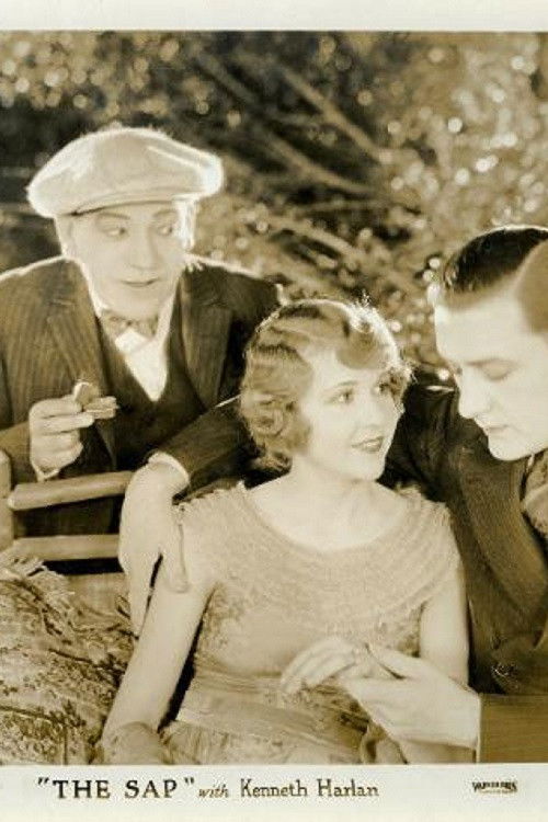 Póster de The Sap