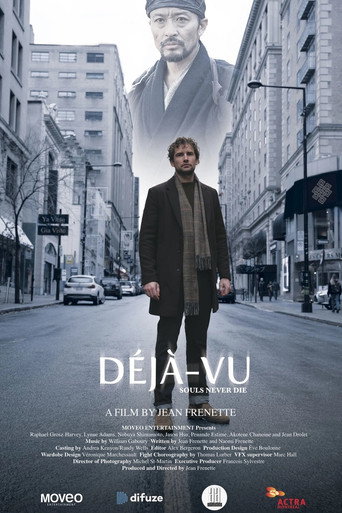 Póster de Deja-Vu