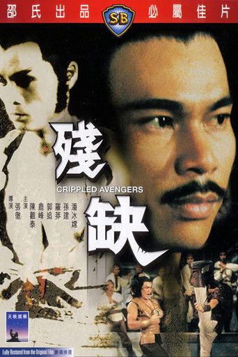 Póster de 残缺