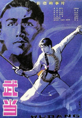 Póster de 武当
