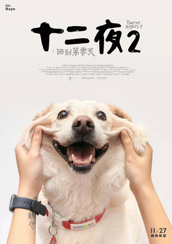 Póster de 十二夜2：回到第零天