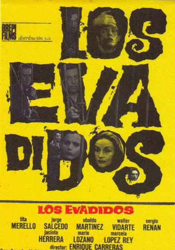 Póster de Los evadidos