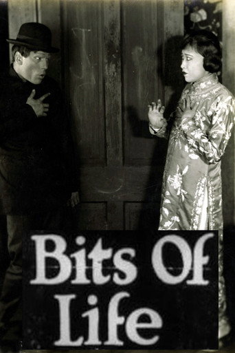 Póster de Bits of Life
