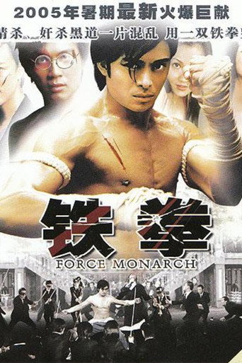 Póster de 龍拳不敗