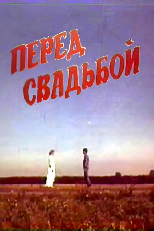 Póster de Перед свадьбой
