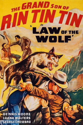 Póster de Law of the Wolf