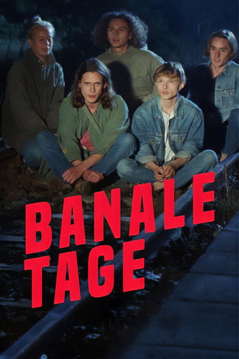 Póster de Banale Tage