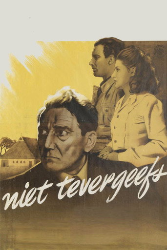 Póster de Niet Tevergeefs