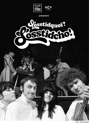 Póster de L'osstidquoi ? L'osstidcho!