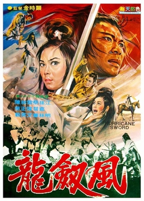 Póster de Fei long duo bo