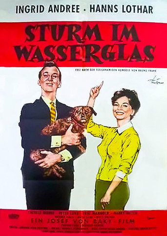 Póster de Sturm im Wasserglas