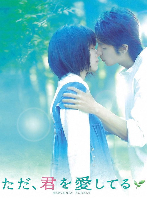Póster de ただ、君を愛してる