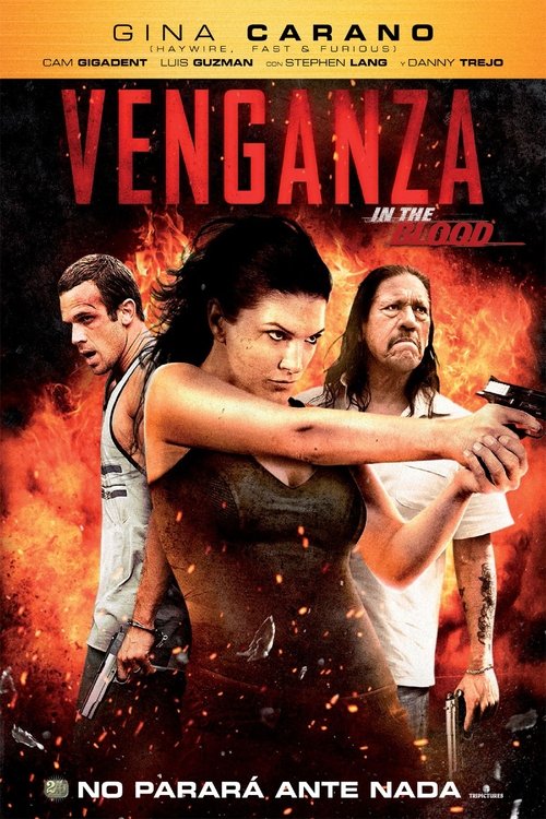 Póster de Venganza