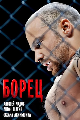 Póster de Борец