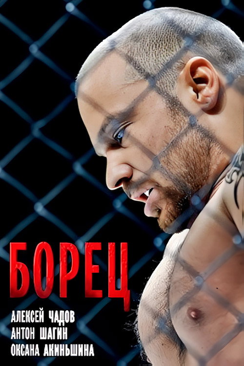 Póster de Борец