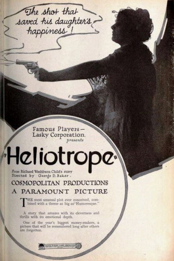 Póster de Heliotrope
