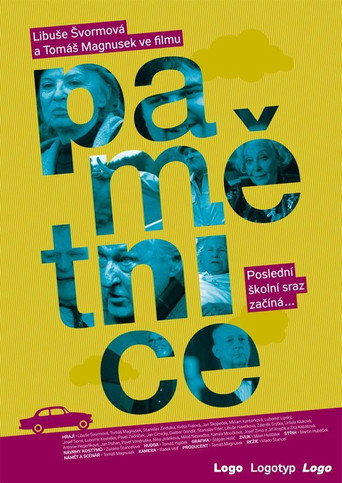 Póster de Pamětnice