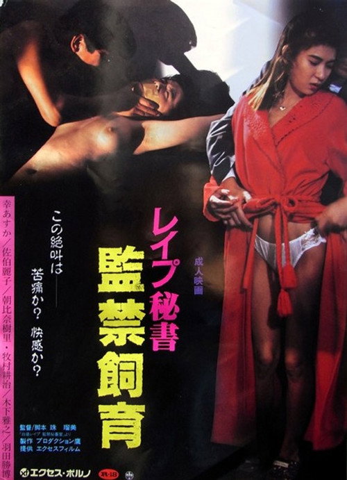 Póster de レイプ秘書 監禁飼育