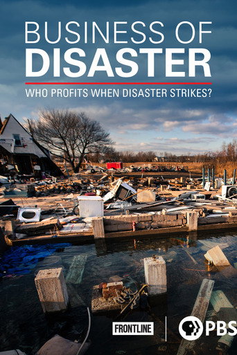 Póster de Business of Disaster