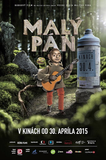 Póster de Malý pán