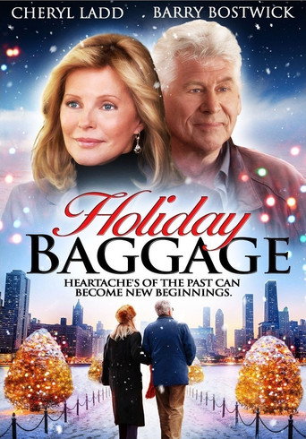 Póster de Holiday Baggage