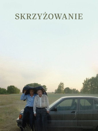 Póster de Skrzyżowanie