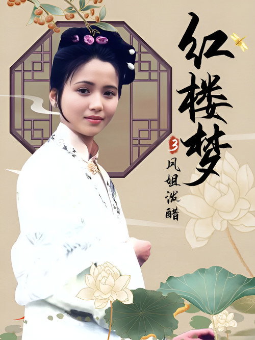 Póster de 红楼梦第三部：凤姐泼醋