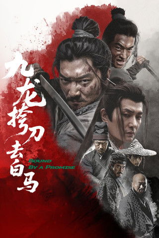 Póster de 九龙挎刀去白马