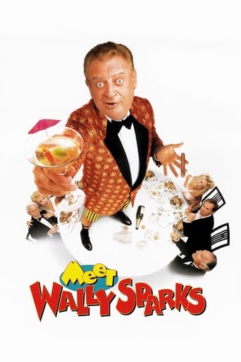 Póster de Meet Wally Sparks