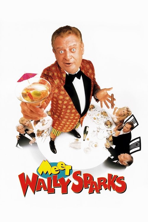 Póster de Meet Wally Sparks