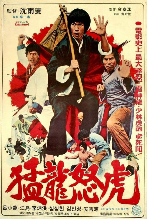 Póster de 맹룡노호