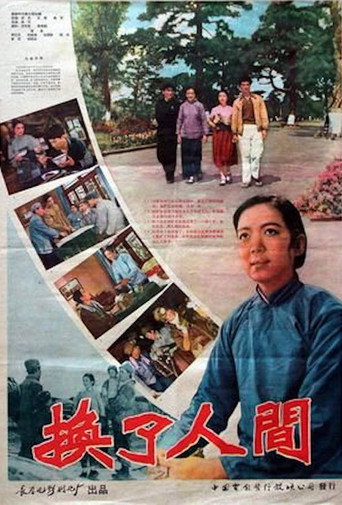 Póster de 换了人间