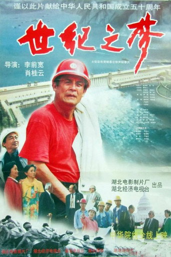 Póster de 世纪之梦