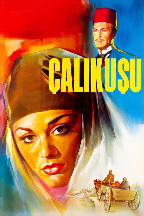 Póster de Çalıkuşu